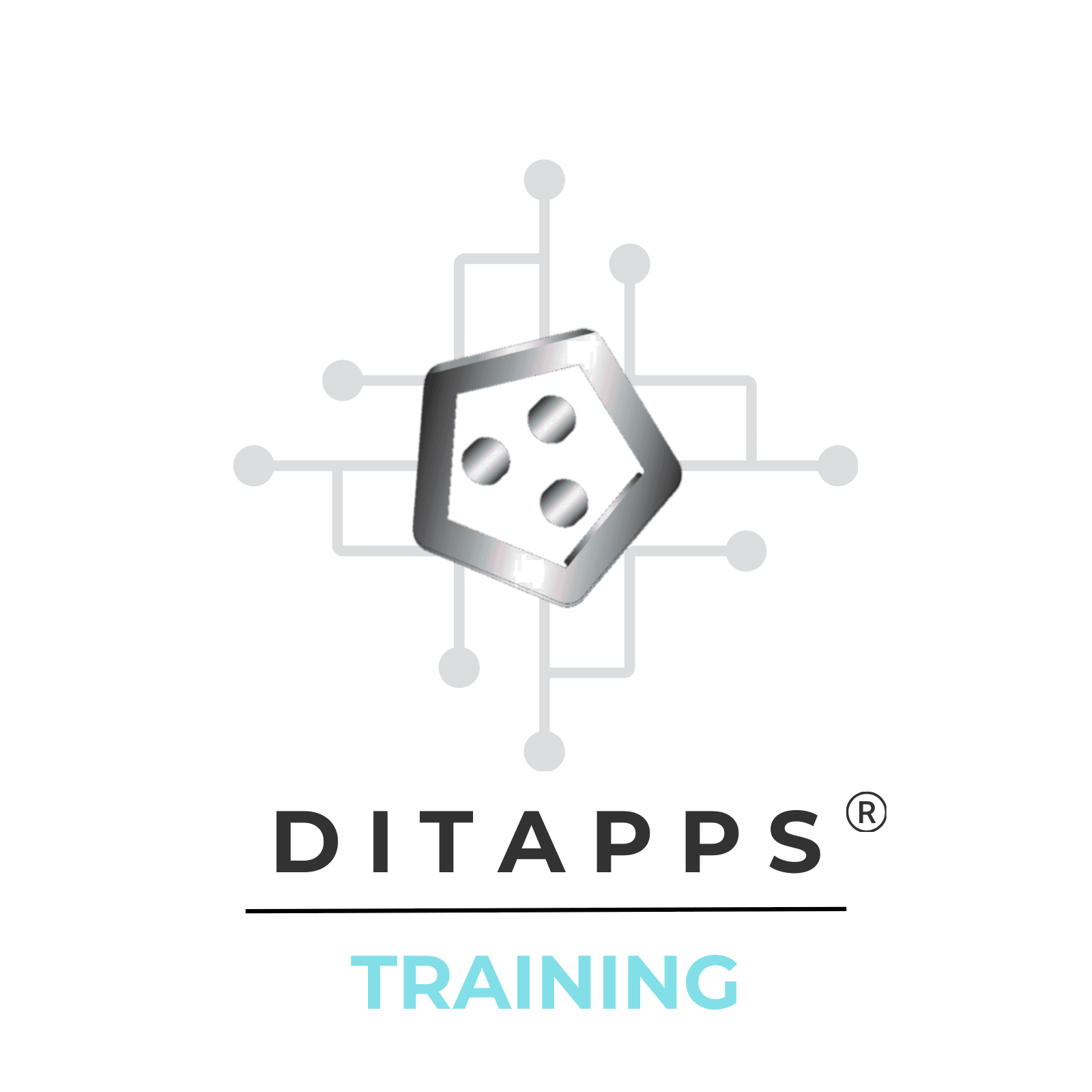 Ditapps Training